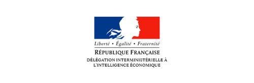 ex Déléguée Interministérielle à l’Intelligence Economique