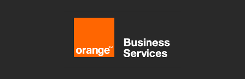 Consultant, Orange Business Service