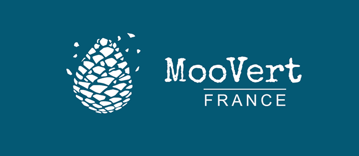 moovert